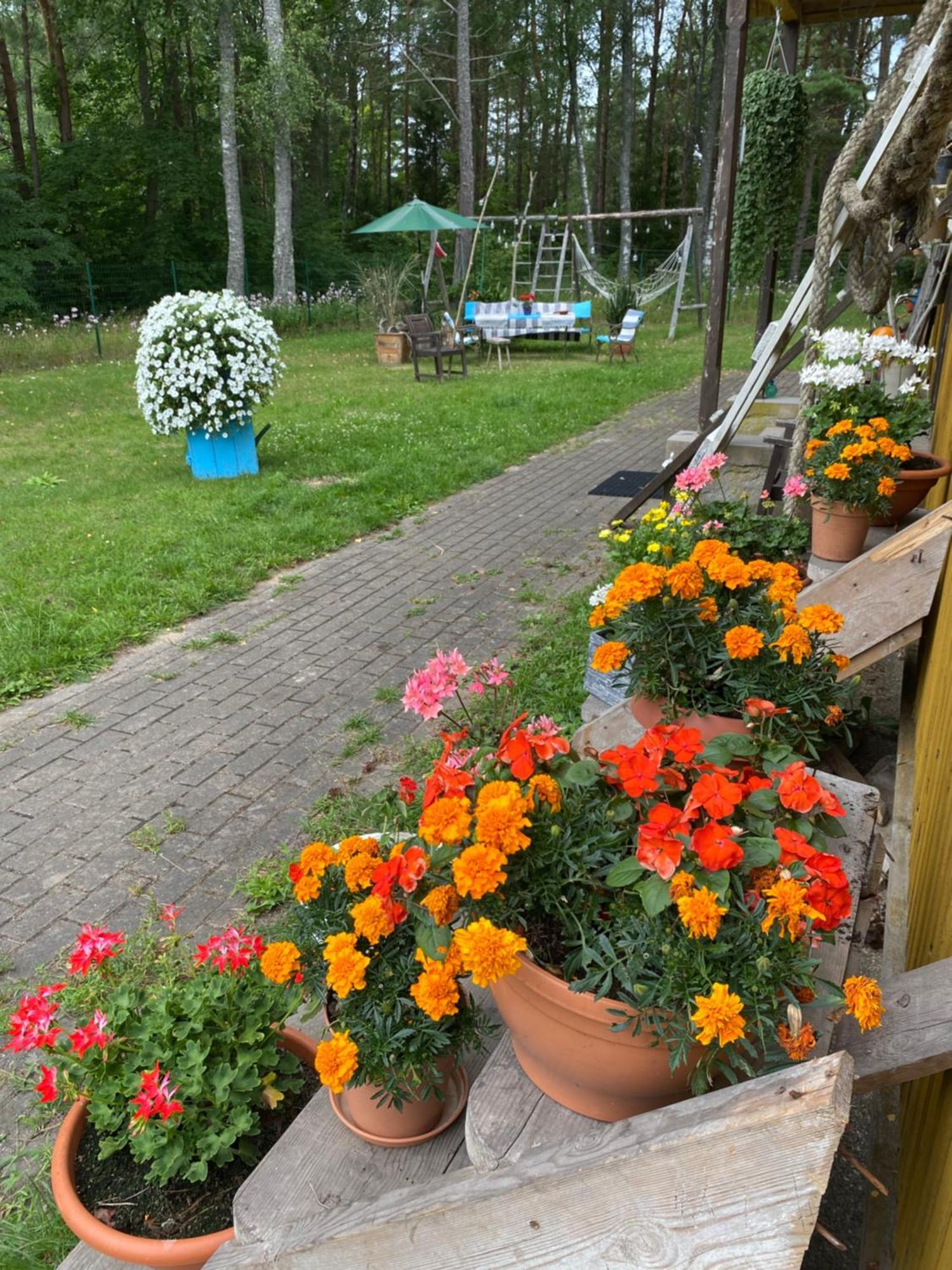 Torgu Royal Guesthouse Iide Zewnętrze zdjęcie