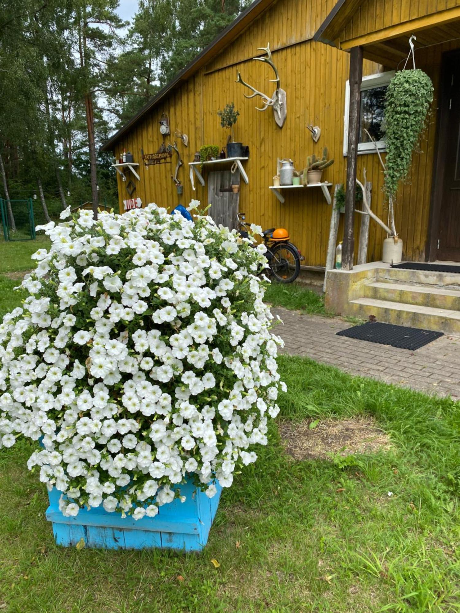 Torgu Royal Guesthouse Iide Zewnętrze zdjęcie